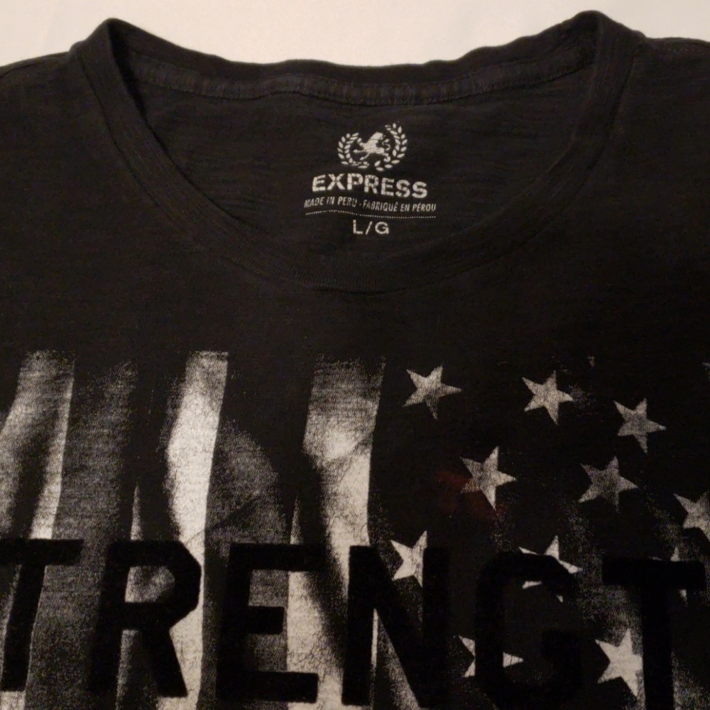 🎁EXPRESS NEW YORK CITY EST  1880T Shirt - Picture 2 of 7